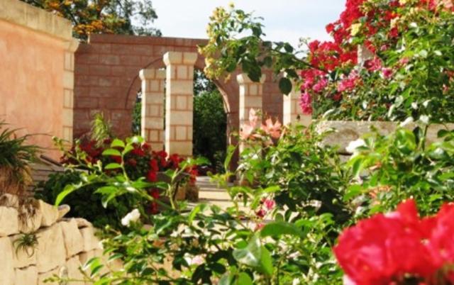 Masseria Asciano Ostuni Bagian luar foto