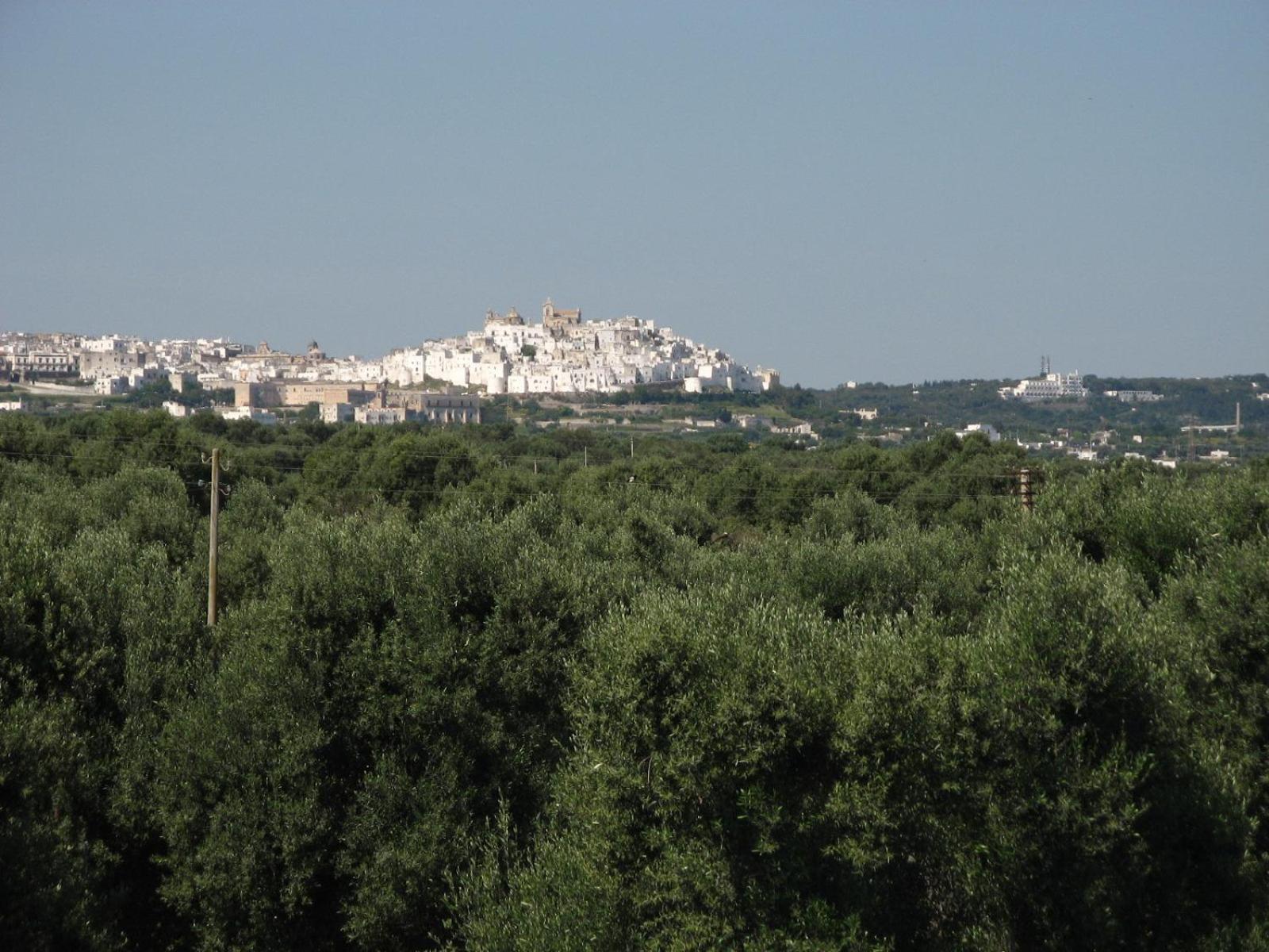Masseria Asciano Ostuni Bagian luar foto