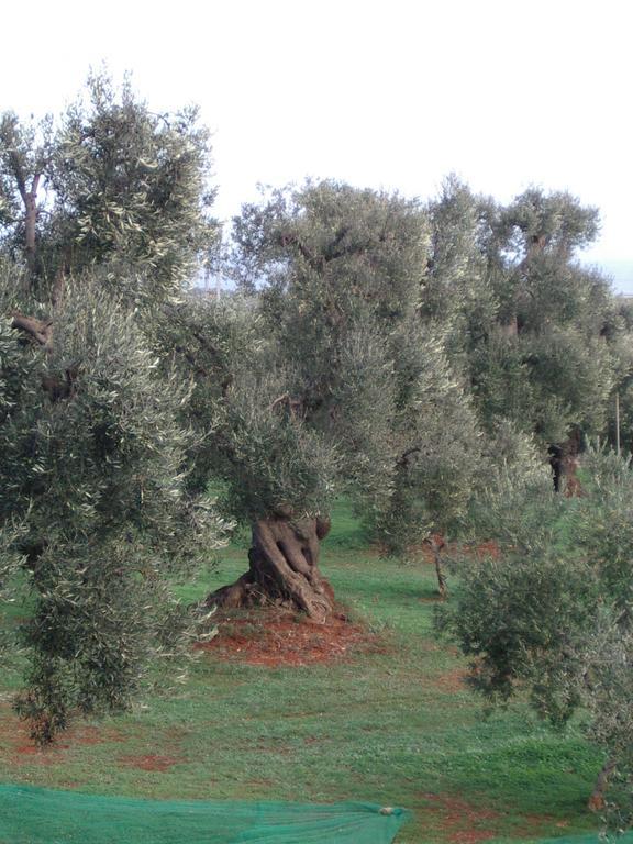 Masseria Asciano Ostuni Bagian luar foto