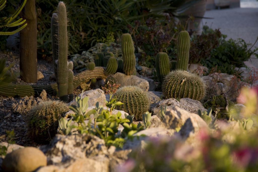 Masseria Asciano Ostuni Bagian luar foto